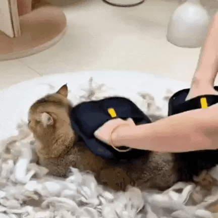Quick Clean Pet Hair Remover Mitt